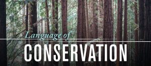 Language of Conservation banner