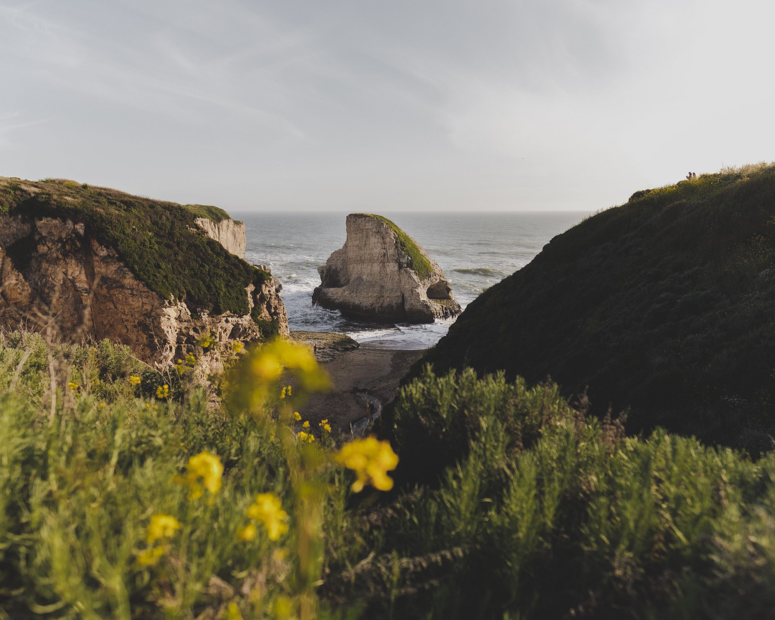 santa cruz nature The Humanities Institute