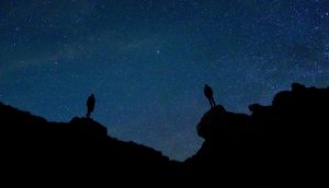 people and night sky