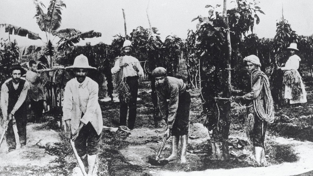 Black and white photo of farmers