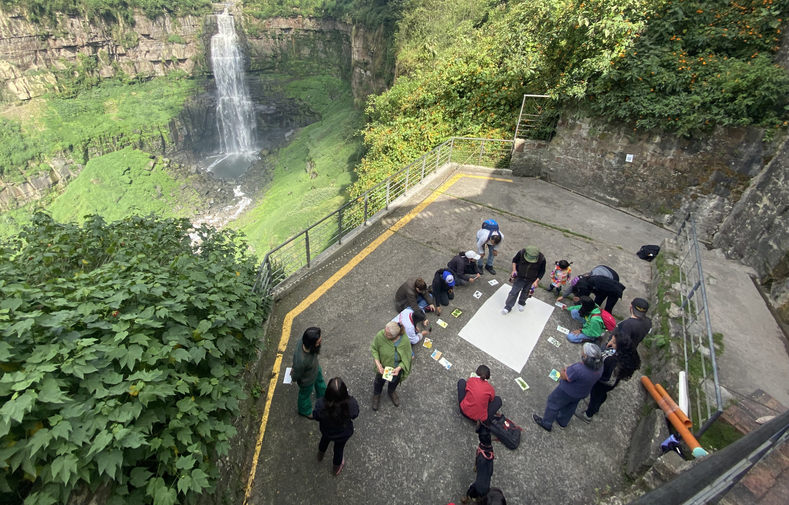 Group of workshop participants studying a paper on the ground with a waterfall in the background