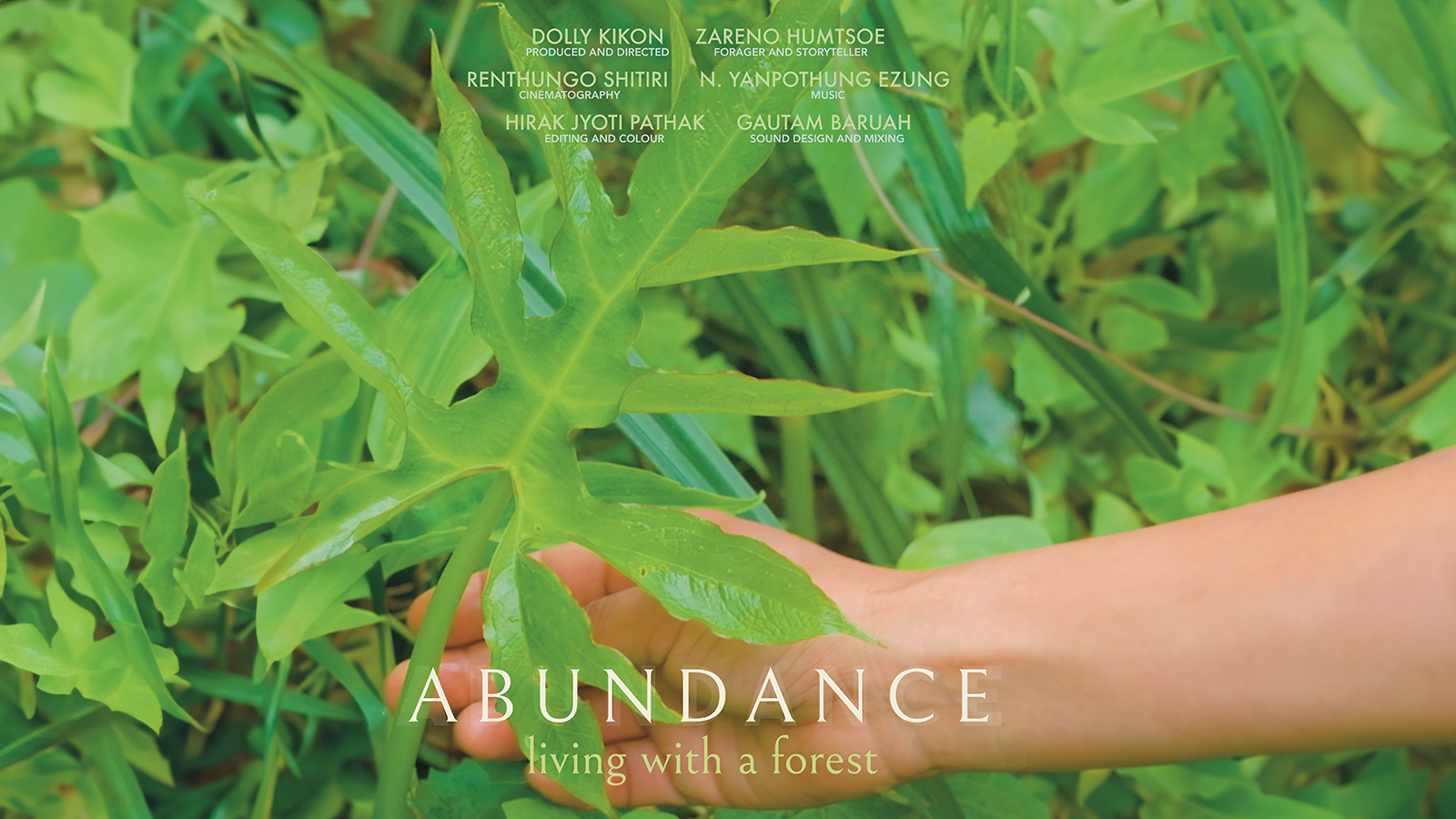 Abundance: Living with a Forest Film Poster