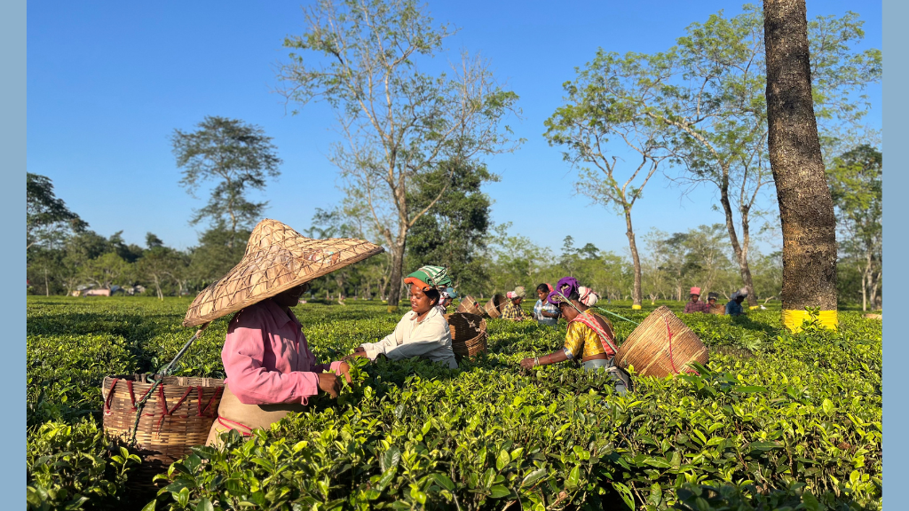 Upatyaka Dutta Banner