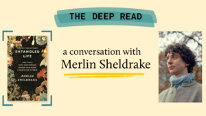 Image of the book on the left and a photo of Merlin Sheldrake on the right