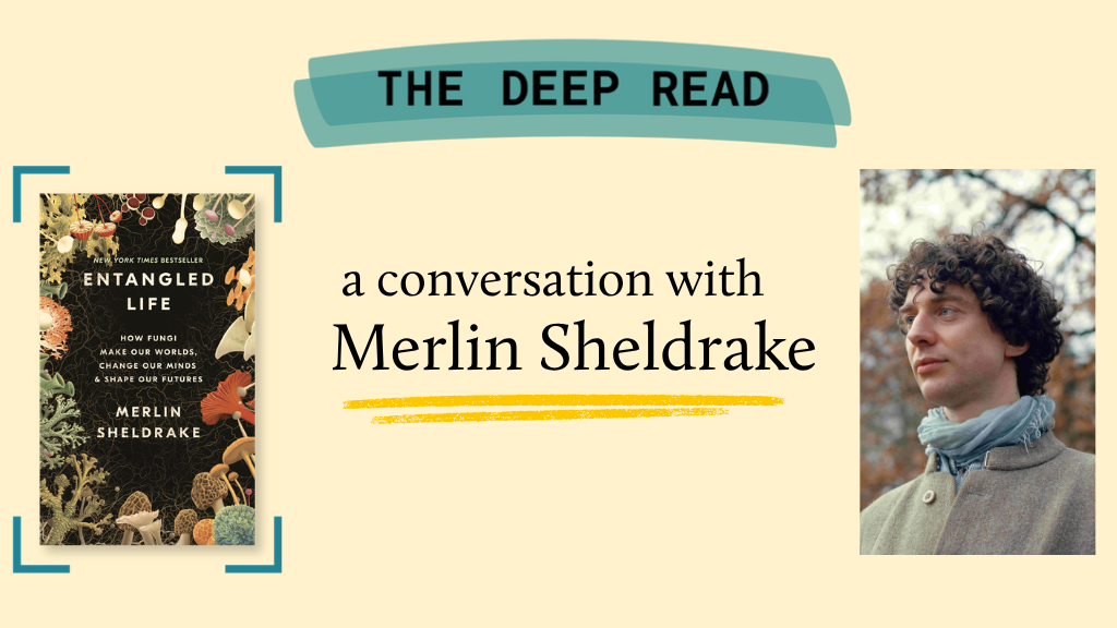 Image of the book on the left and a photo of Merlin Sheldrake on the right