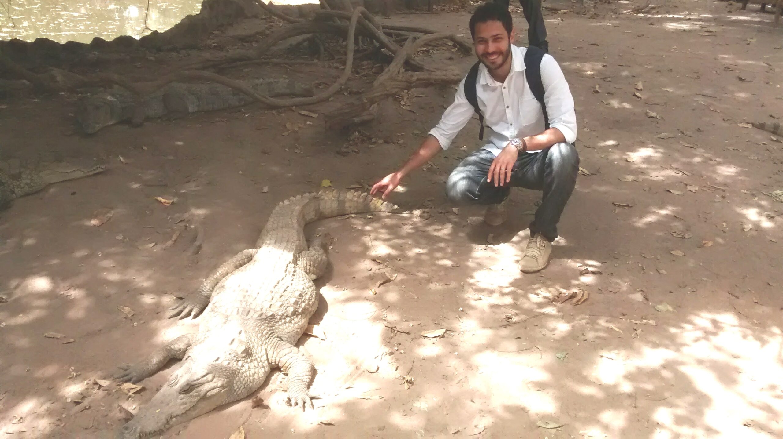 person crouching next to a crocodile