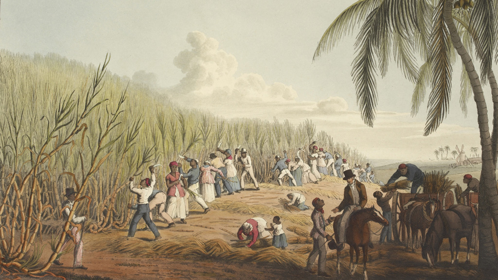 Slaves cutting sugar cane