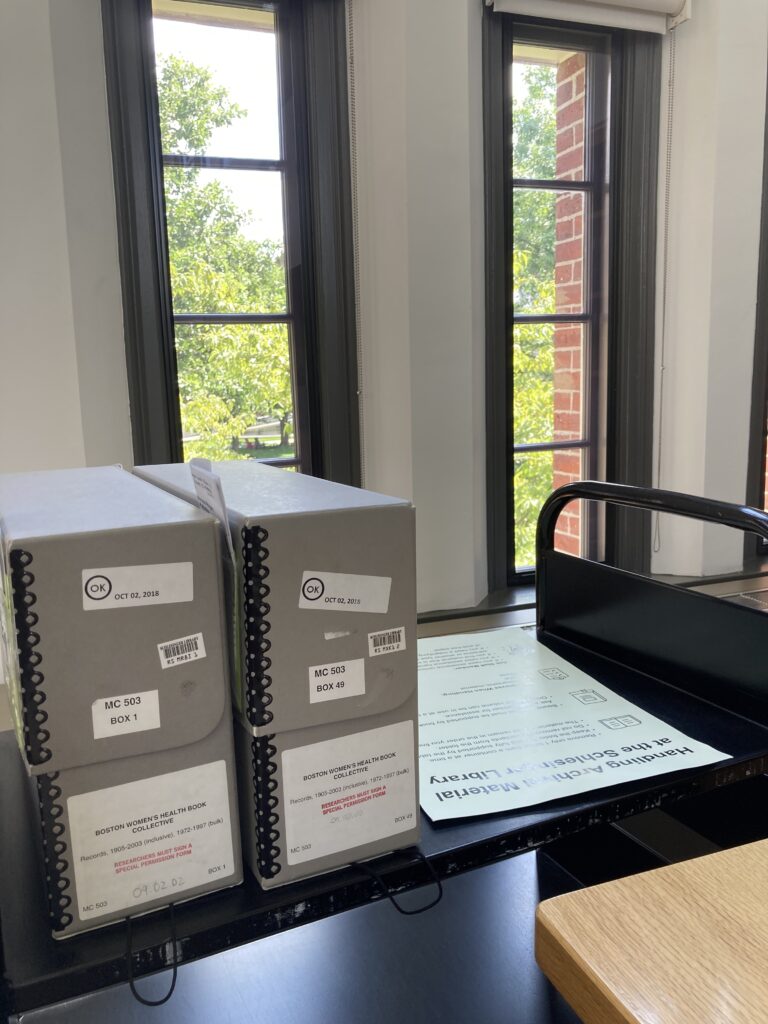The image shows two grey archival boxes in the foreground and behind them two tall windows with trees visible and a little bit of brick wall.